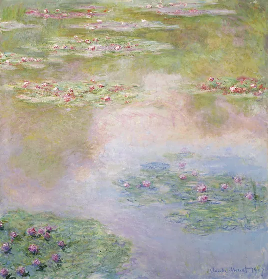 Water-Lilies