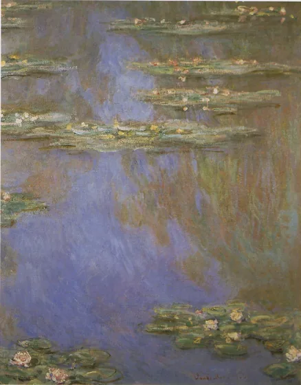 Water-Lilies