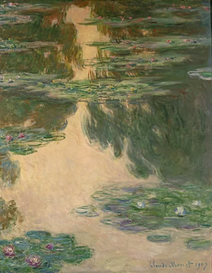 Water-Lilies