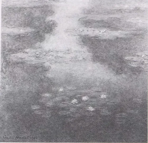Water-Lilies