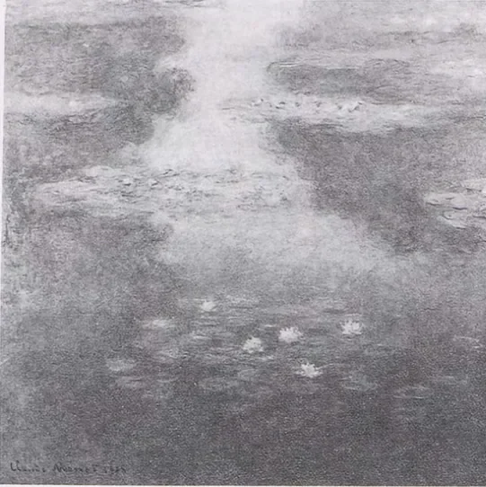 Water-Lilies