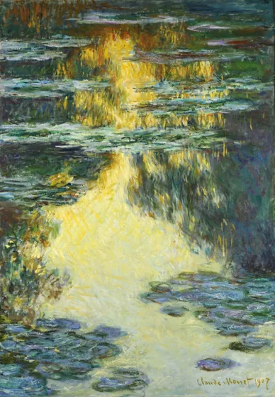 Water Lilies
