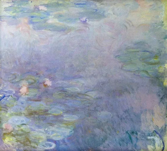 Water-Lilies