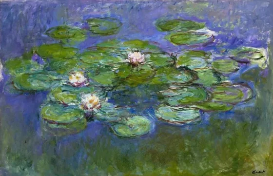Water-Lilies