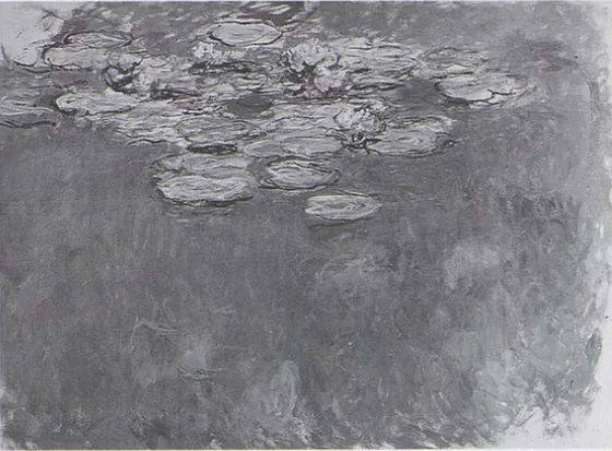 Water-Lilies