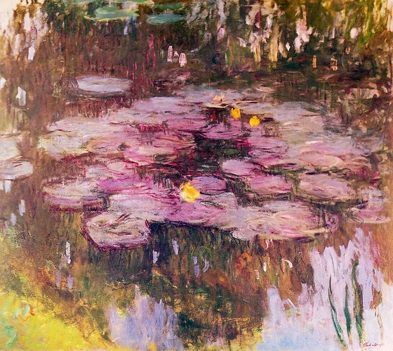 Water Lilies