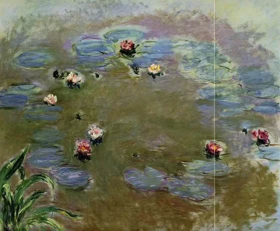 Water Lilies
