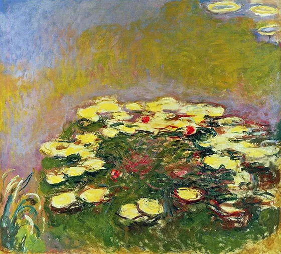 Water Lilies