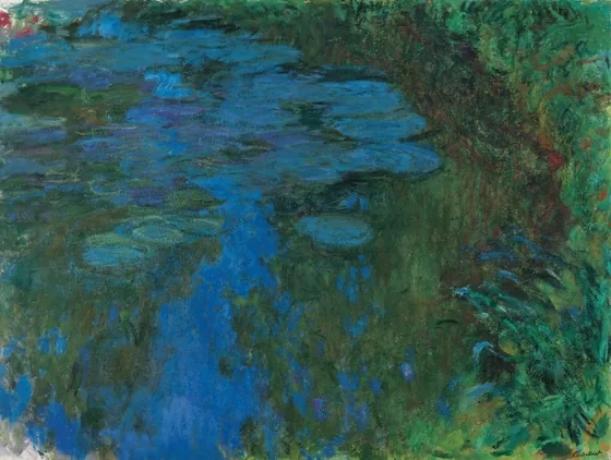 Water Lilies