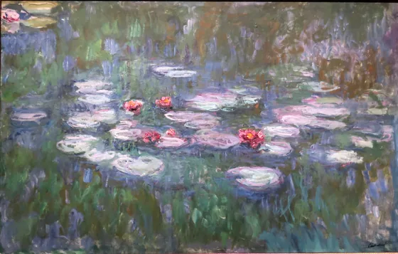 Water-Lilies