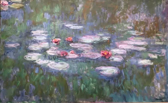 Water-Lilies