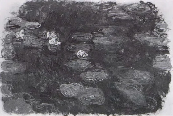 Water-Lilies