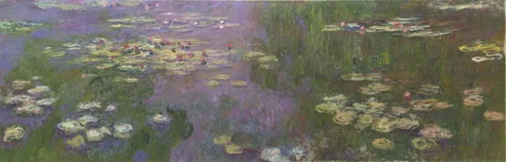 Water Lilies (Nymphéas)