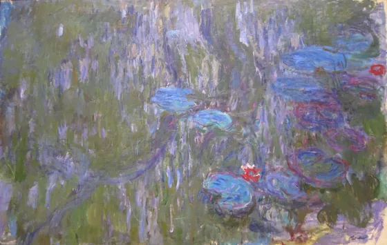 Water Lilies, Reflections of Weeping Willows
