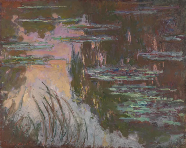 Nenúfares, puesta de sol