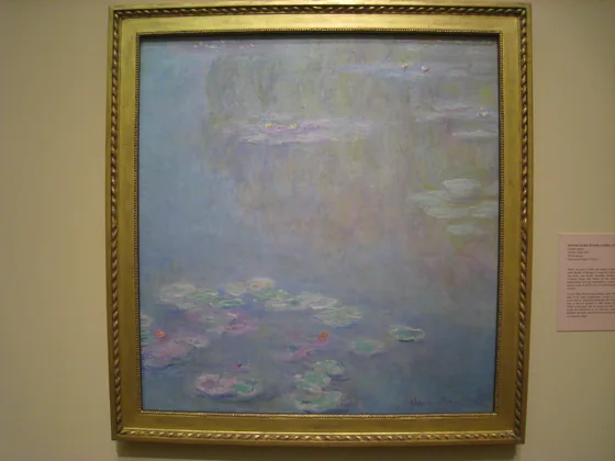 Water Lilies, Water Landscape