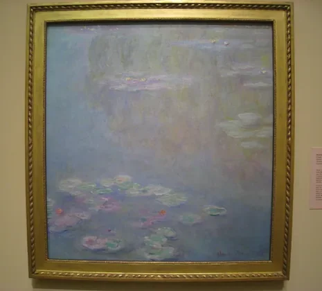 Water Lilies, Water Landscape