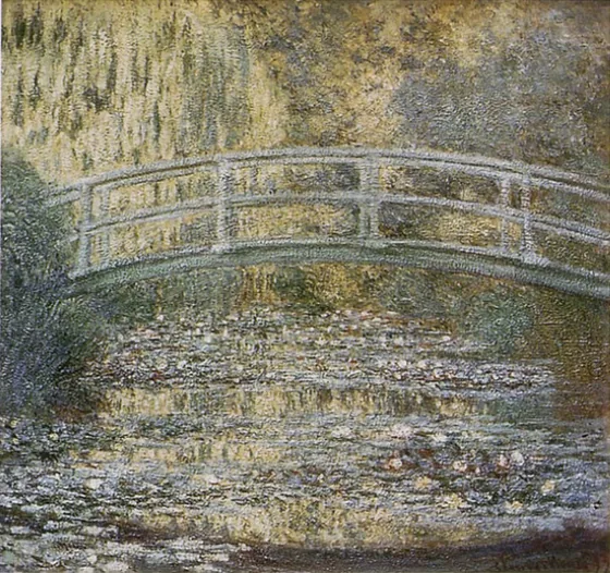 Water Lily Pond