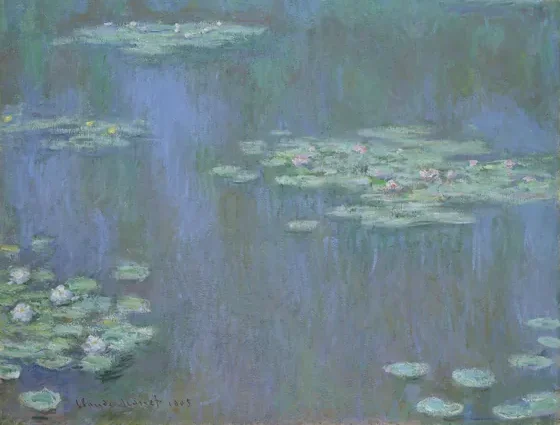 Waterlilies