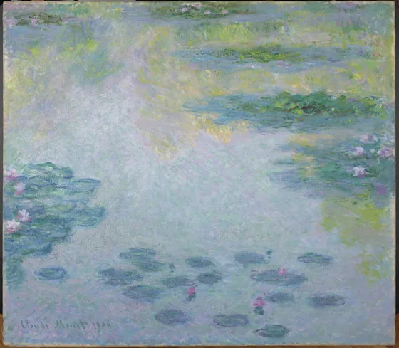 Waterlilies