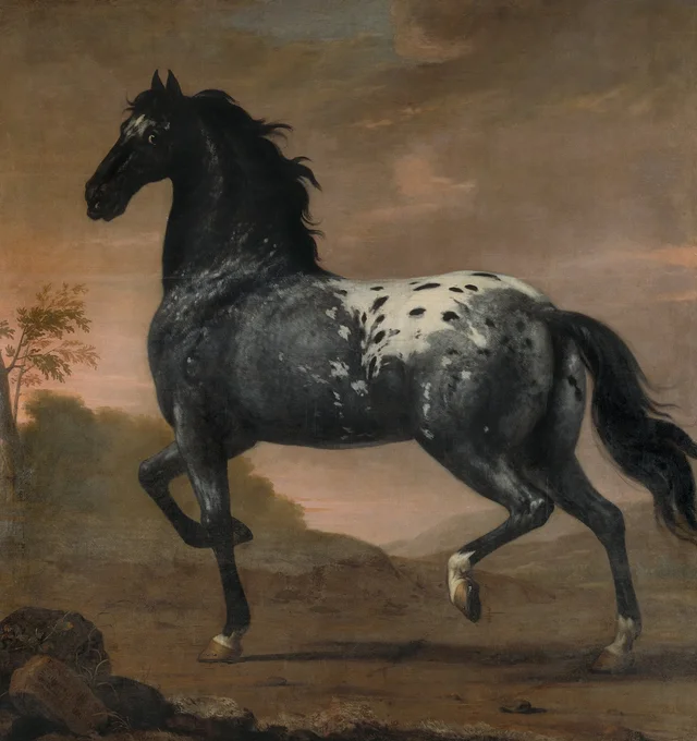Blå Tigern, cavalo de montaria de Carlos XI, David Klöcker Ehrenstrahl