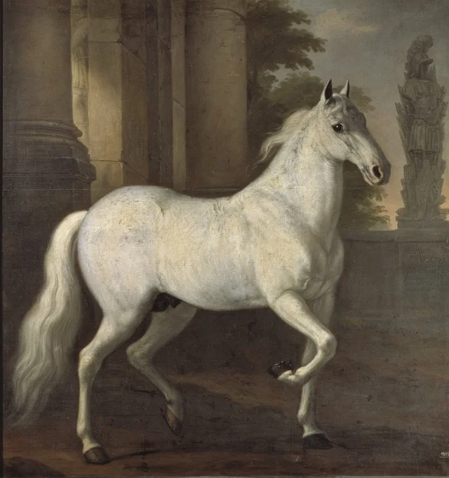 Brilliant, cavalo de montaria de Carlos XI, David Klöcker Ehrenstrahl