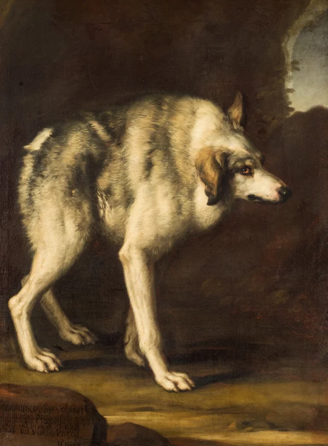 Cão deformado, David Klöcker Ehrenstrahl