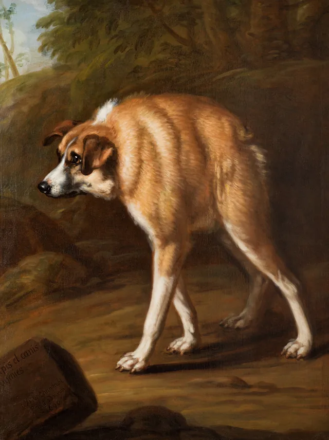 Cão deformado, David Klöcker Ehrenstrahl