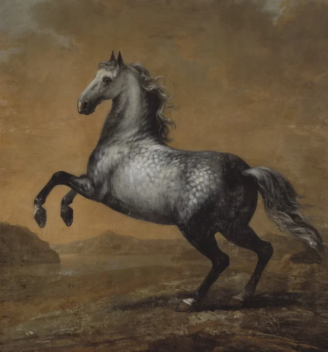 Den Lille Engländaren, cavalo de montaria de Carlos XI, David Klöcker Ehrenstrahl