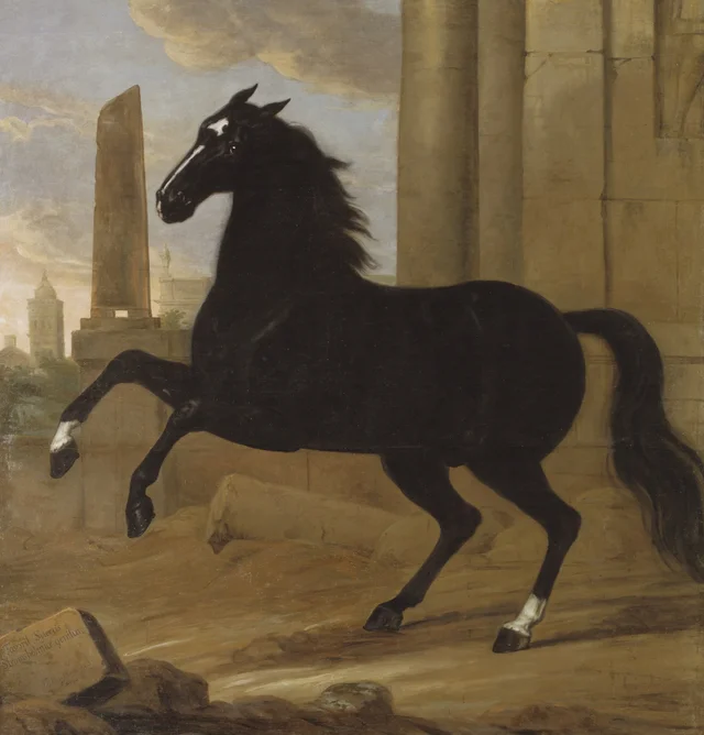 Favorit Suecus, cavalo de montaria de Carlos XI, David Klöcker Ehrenstrahl