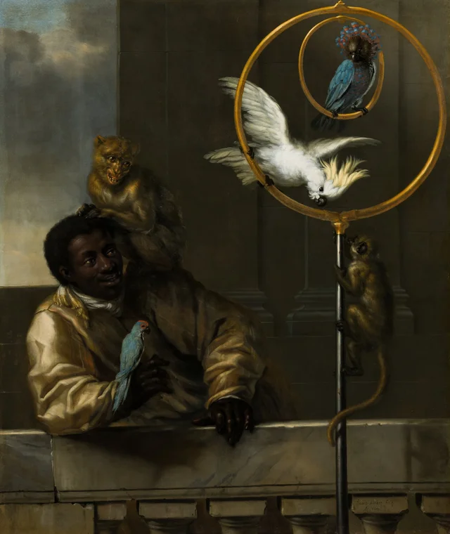 Jovem com papagaios e macacos, David Klöcker Ehrenstrahl