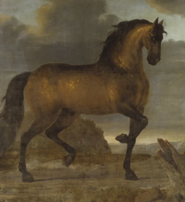 Stenbock, cavalo de montaria de Carlos XI, David Klöcker Ehrenstrahl