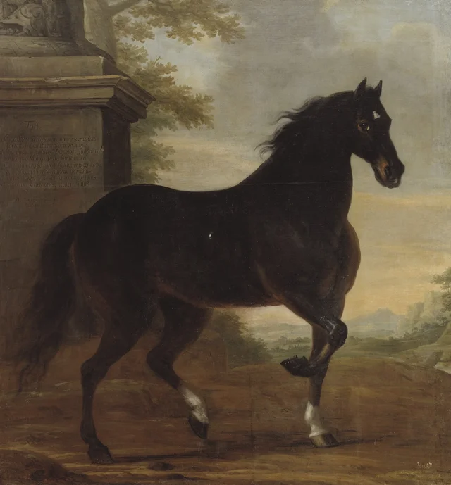 Tott, cavalo de montaria de Carlos XI, David Klöcker Ehrenstrahl