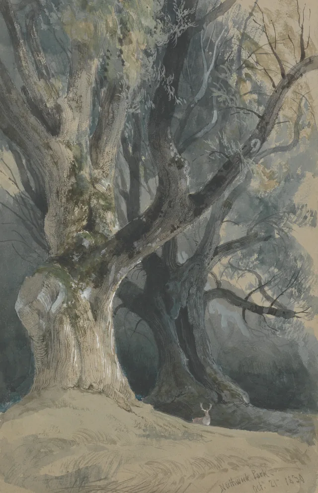 Árvores em Northwick Park, David Roberts