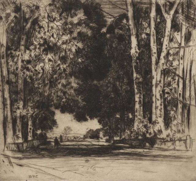 La avenida, David Young Cameron