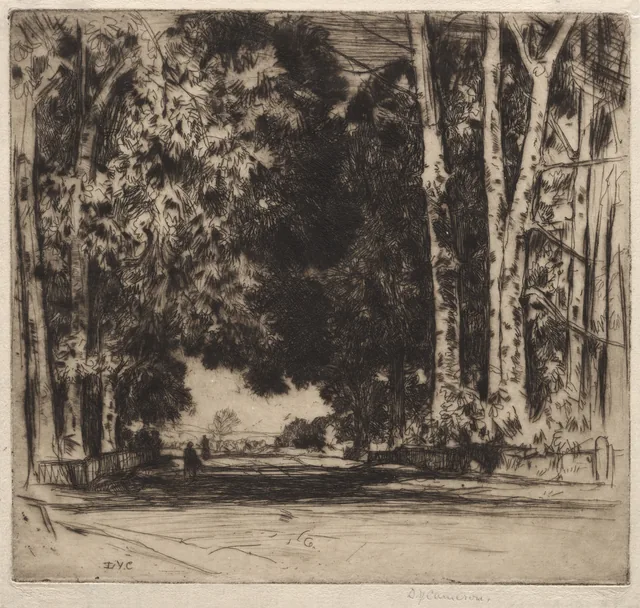 A avenida, David Young Cameron