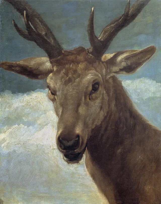Tête de cerf