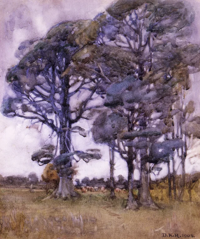 Bétula-negra, Dorothy Kate Richmond