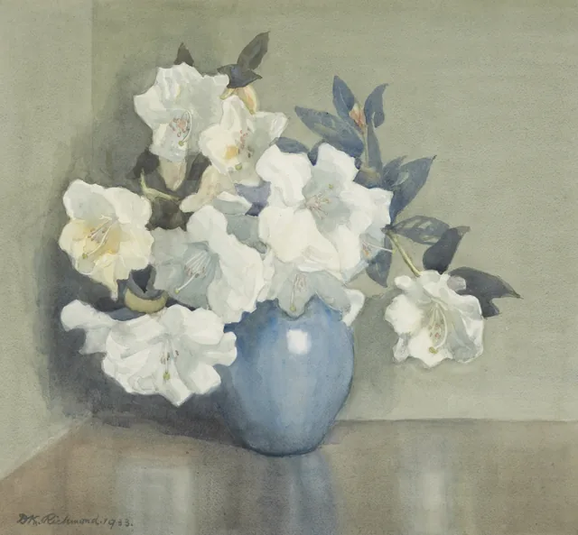 Rhododendron fragrantissimum, Dorothy Kate Richmond