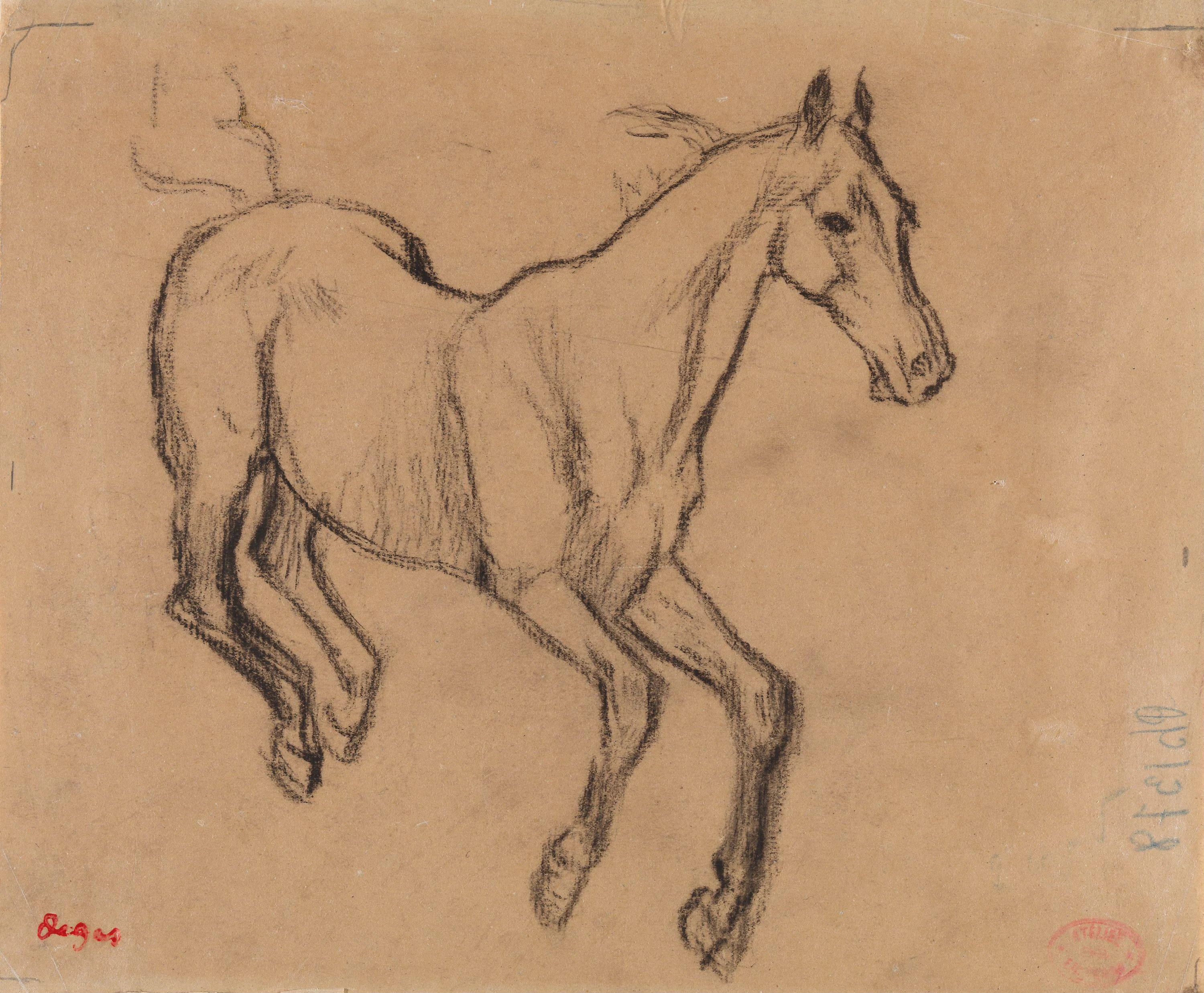 Horse Gallopping, Edgar Degas