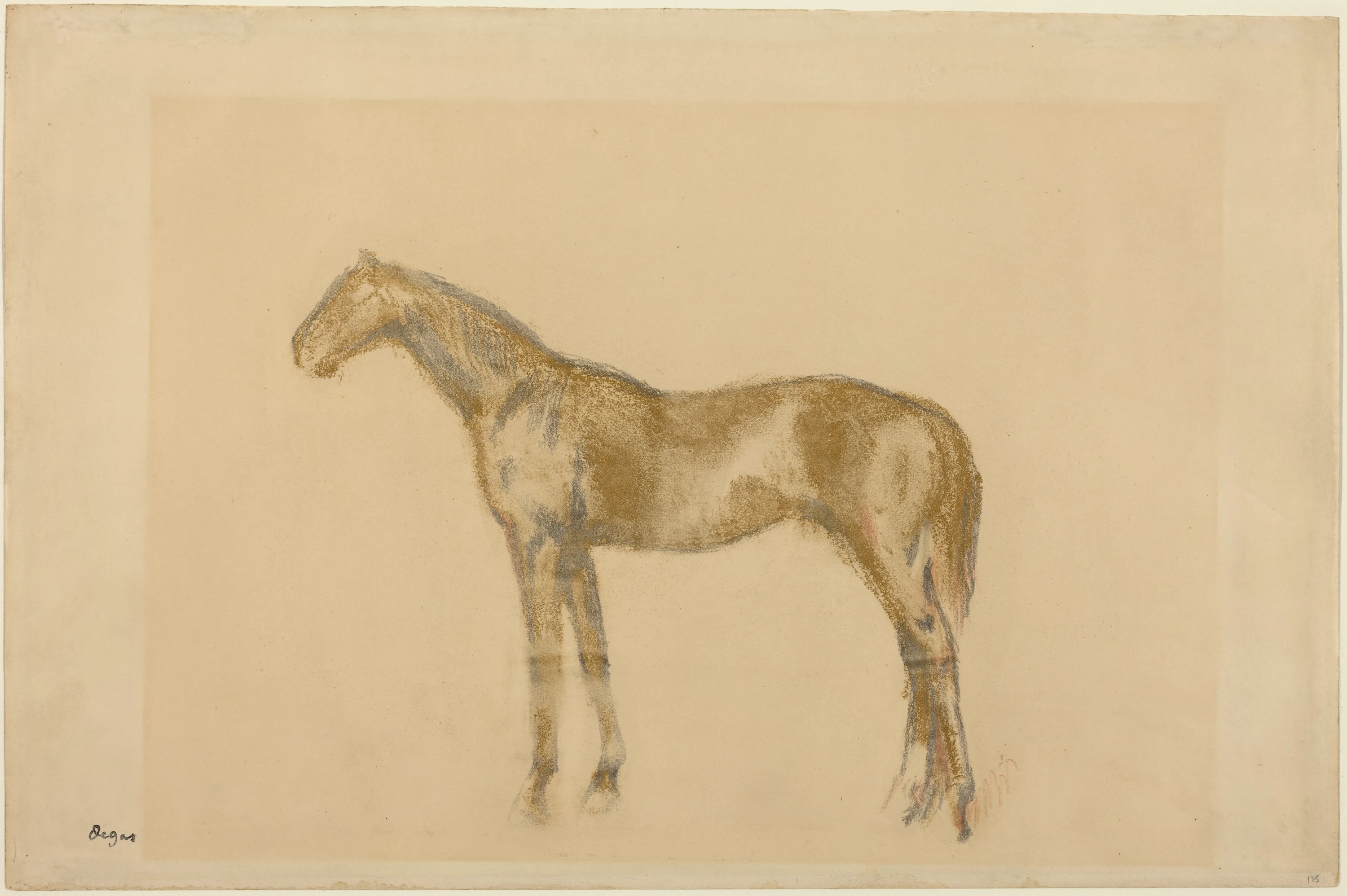 Horse, Edgar Degas