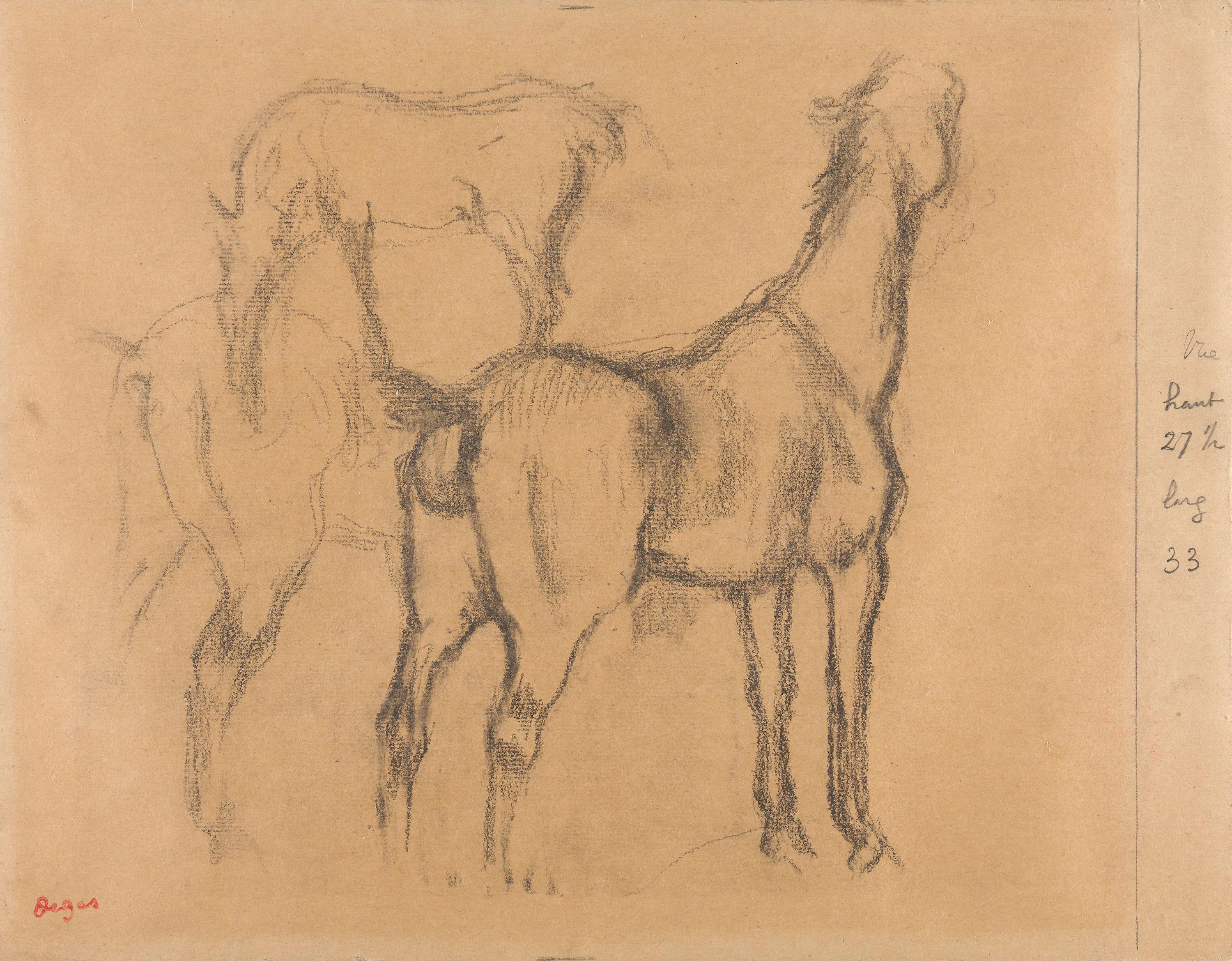 Studies of horses, Edgar Degas