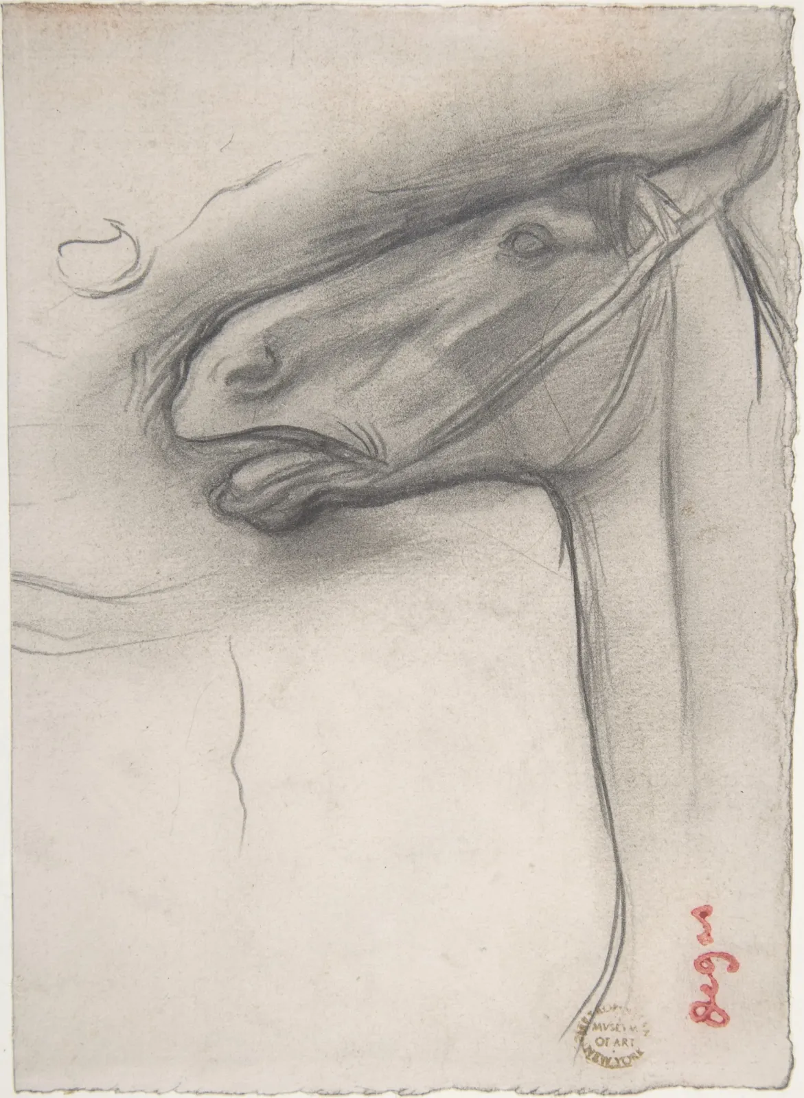 Head of a Horse, Edgar Degas