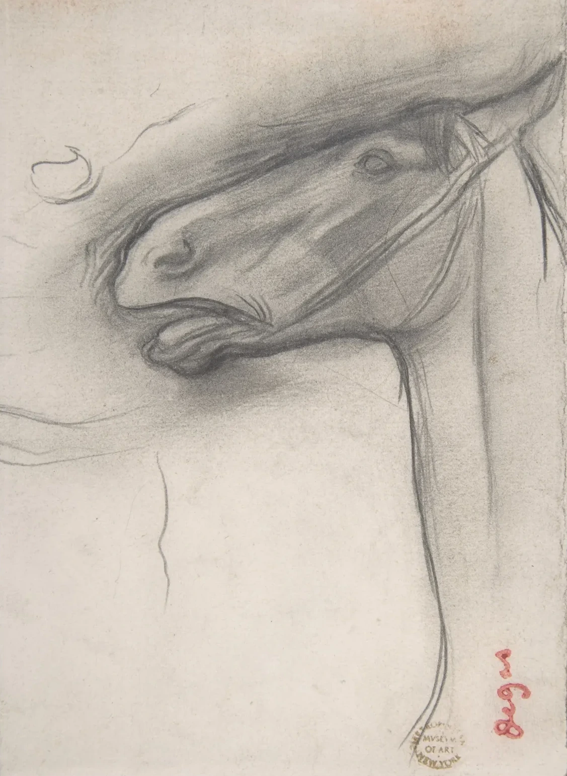 Head of a Horse, Edgar Degas