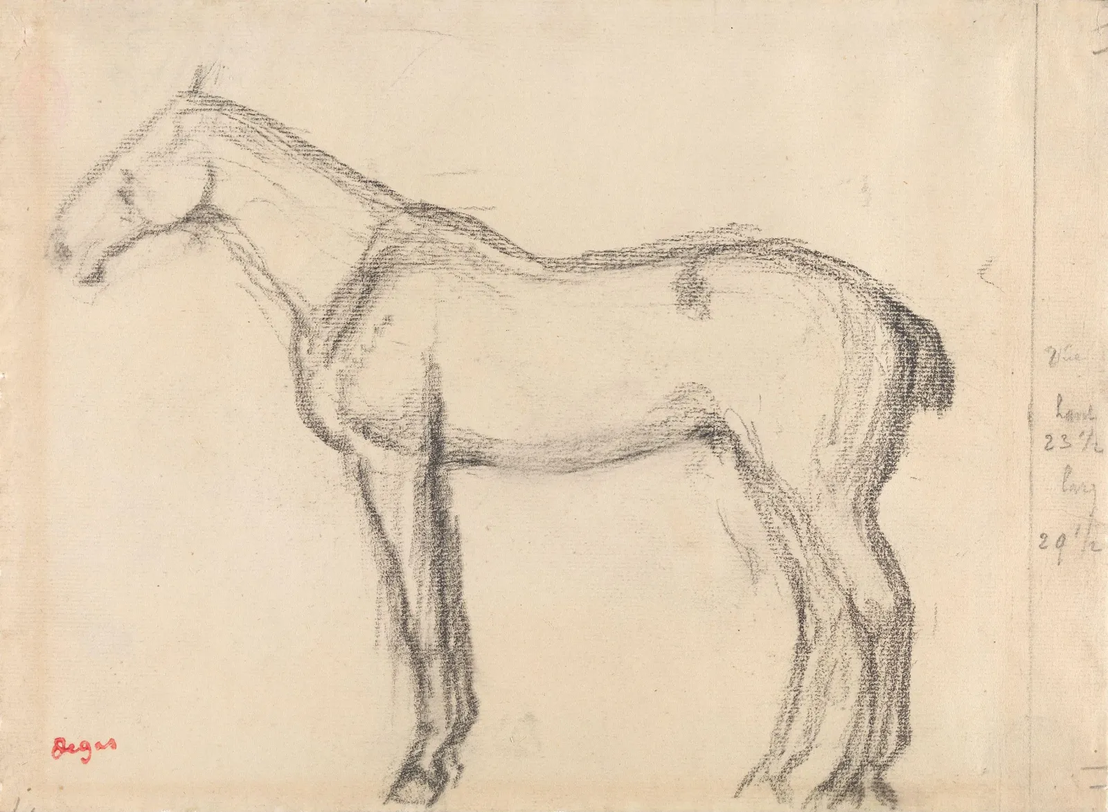 Horse, Edgar Degas