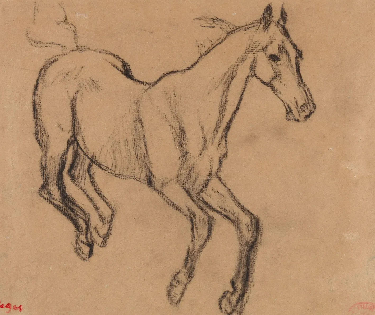 Horse Gallopping, Edgar Degas