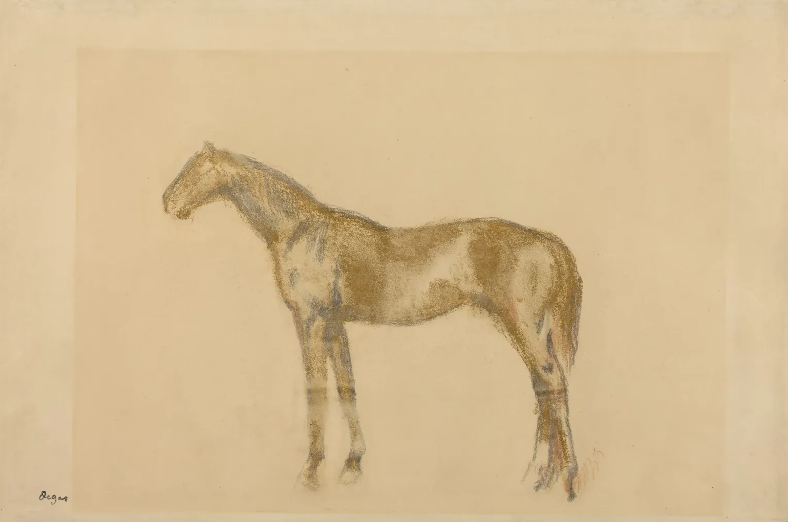 Horse, Edgar Degas