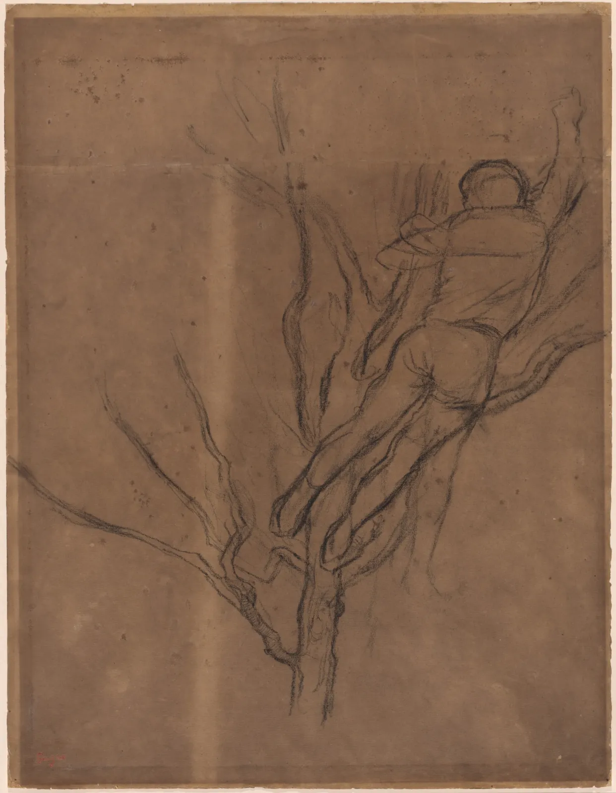 Man Pruning a Tree, Edgar Degas