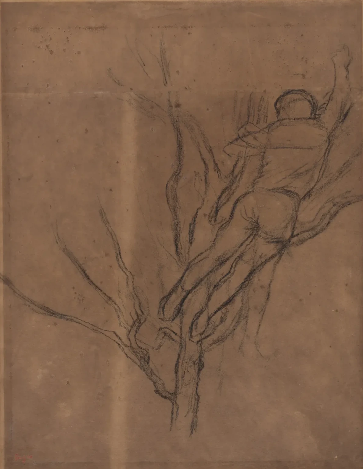 Man Pruning a Tree, Edgar Degas
