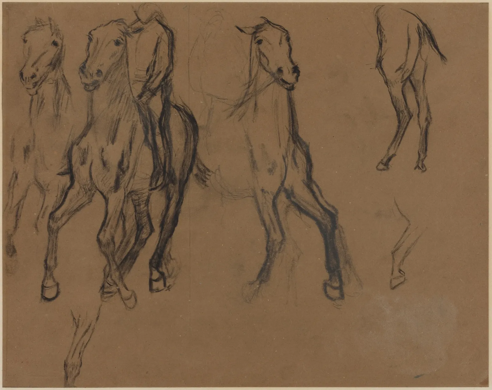 Study of Horses, Edgar Degas